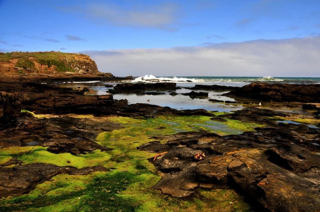 What to See and Do - Catlins