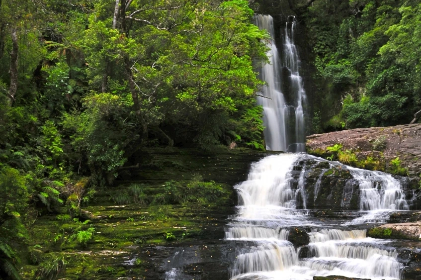 What to See and Do - McLean Falls Catlins