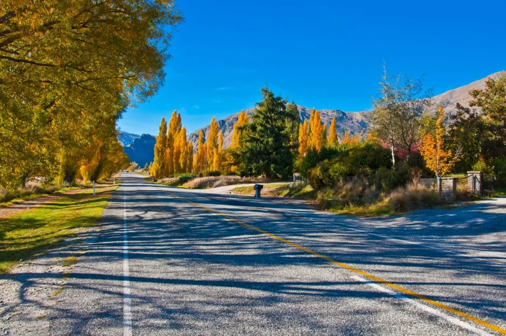 What to See and Do - Te Anau